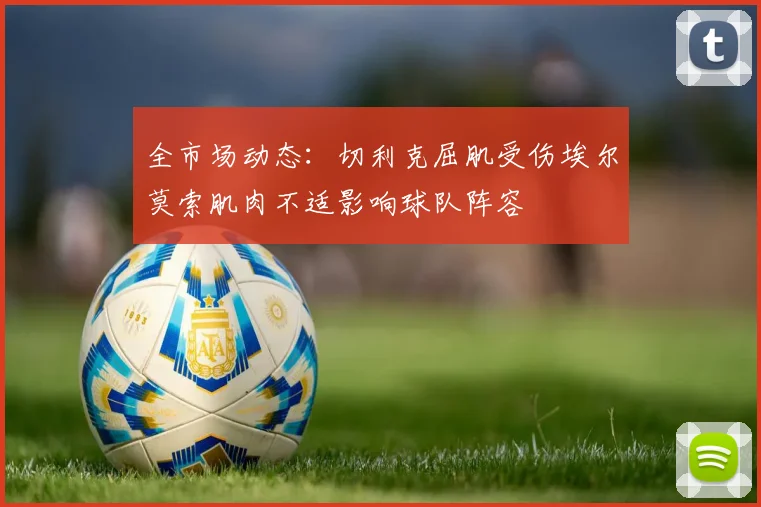 全市场动态：切利克屈肌受伤埃尔莫索肌肉不适影响球队阵容
